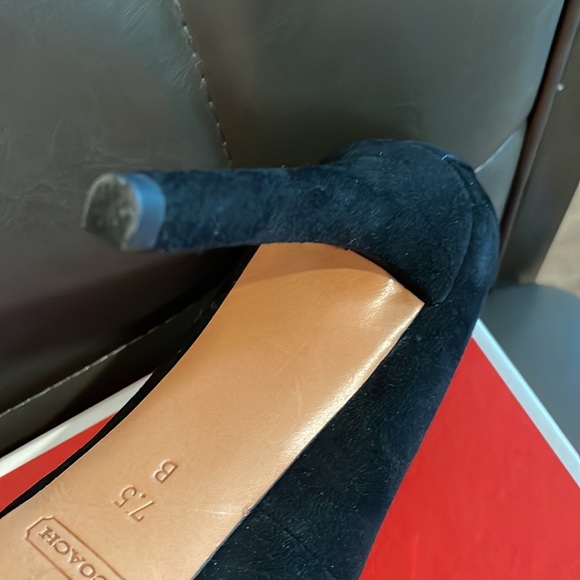 Coach platform - Picture 5 of 6